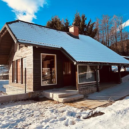 Chalet Pjagodic Cerklje na Gorenjskem Extérieur photo