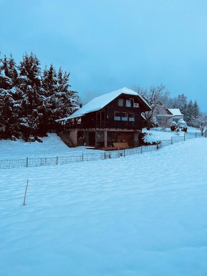 Chalet Pjagodic Cerklje na Gorenjskem Extérieur photo